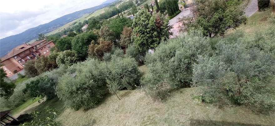 Photo 42
