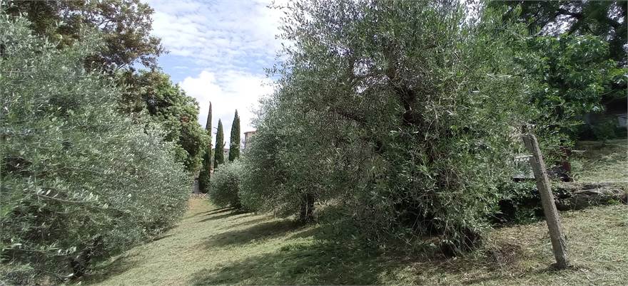 Photo 40