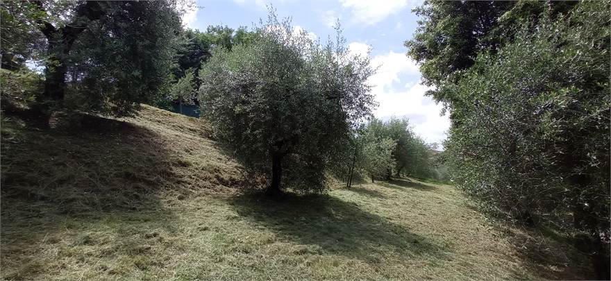 Photo 41