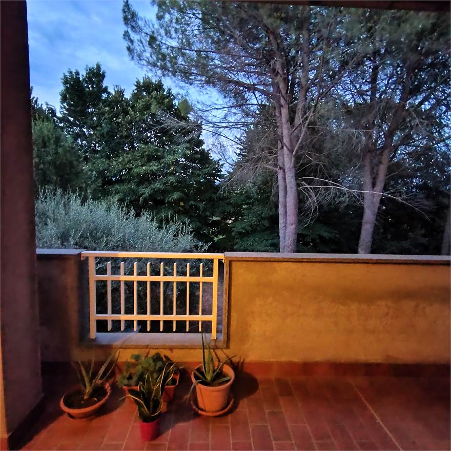 terrazzo