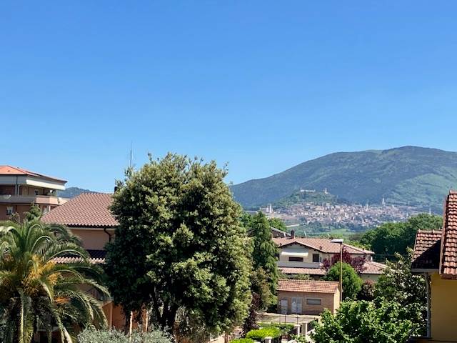 vista